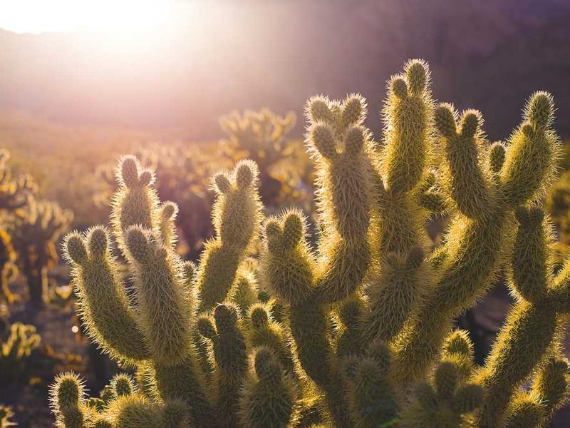 【体重管理】冬季如何实现 “不胖反瘦” 的惊喜，这份冬日攻略，建议收藏