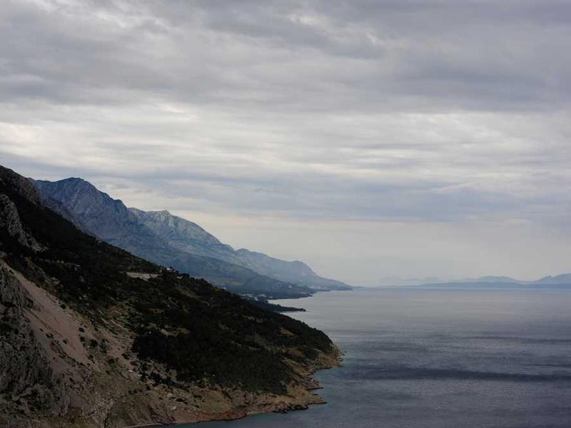 狂犬病十问：被狗咬伤后没出血就不用打疫苗了？