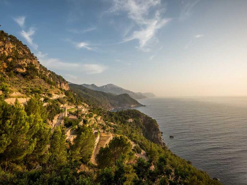 可引起脑膜炎、肺炎！这种细菌专挑5岁以下儿童下手