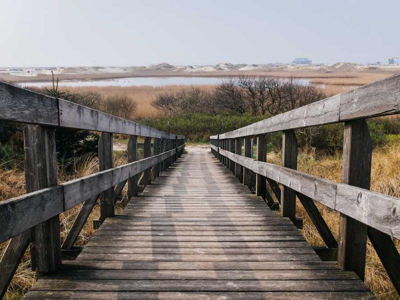 暖冬“柿”力派登场！ 这份“甜蜜警告”请您收好，健康揣进兜里！