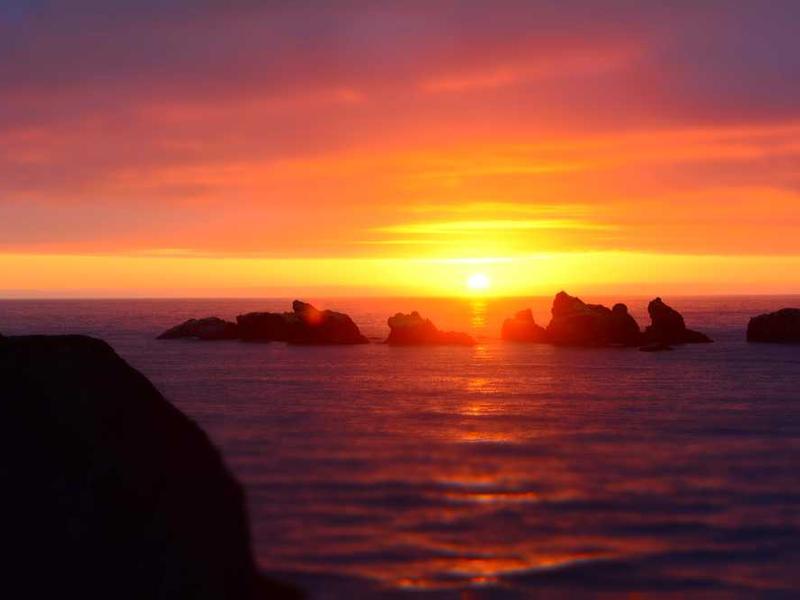 守护婴幼儿健康：了解轮状病毒疫苗