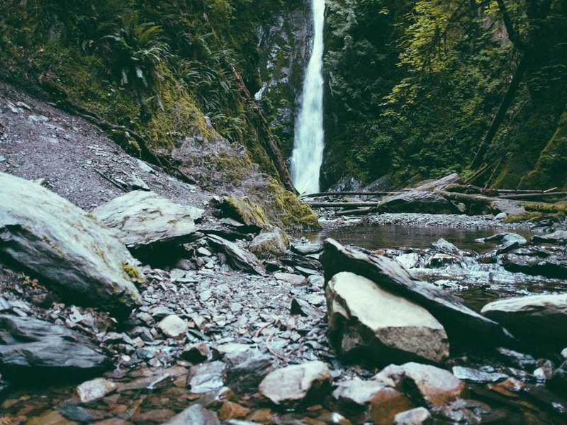 房间里放洋葱能杀菌、预防流感，是真是假？