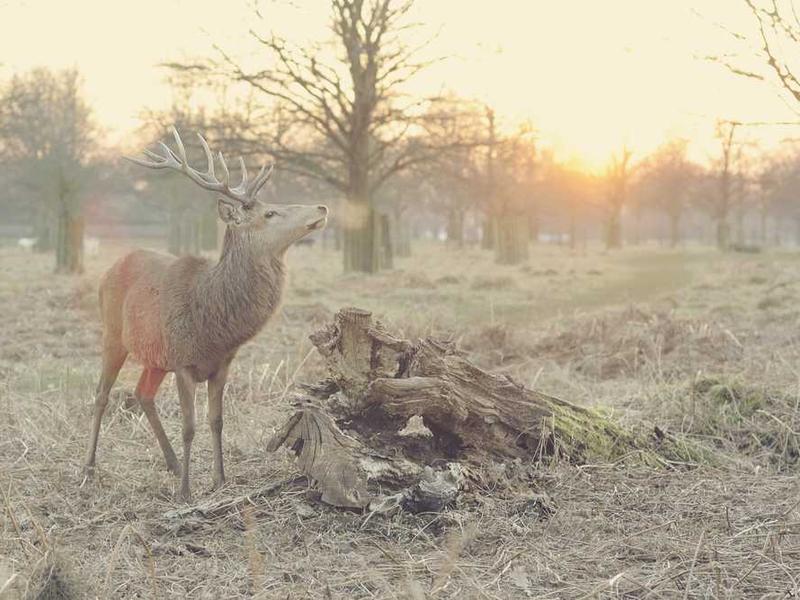 黄金72小时：这种“后悔药”一定要知道 ！