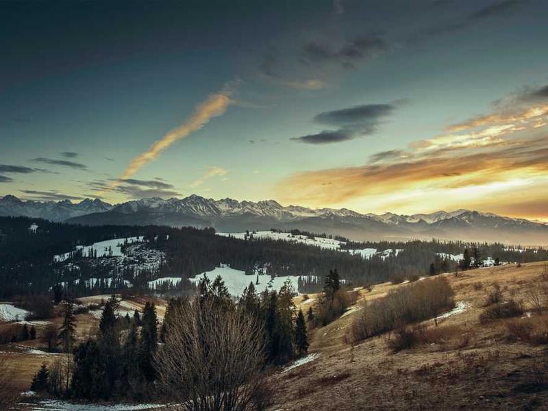 赌你没吃过！这种便宜冷门水果居然是肠道加速器→