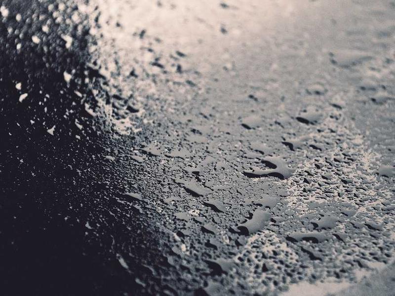 近期高发！几十个小红点，竟是致命伤！出游时千万远离它！