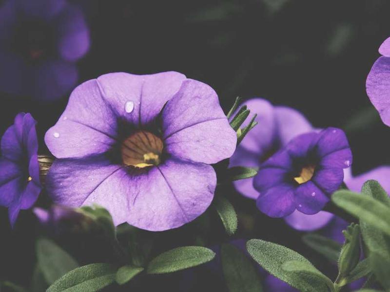 被二手烟溅一身，我能词穷吗？？？