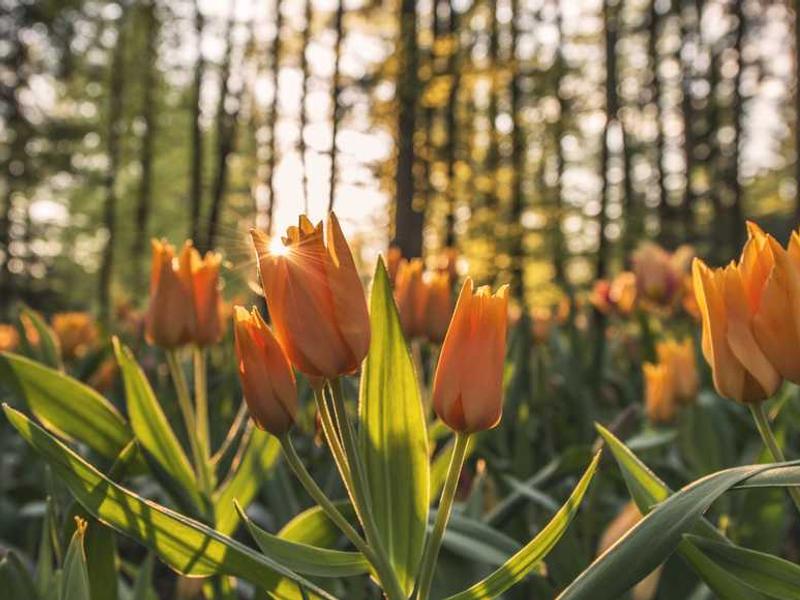 家里有东西发霉？这几个方法可有效预防→