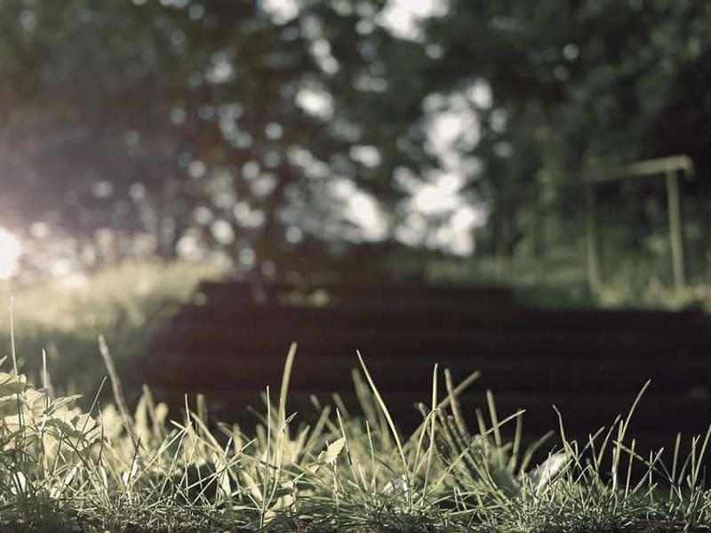 强健骨骼，从年轻时开始